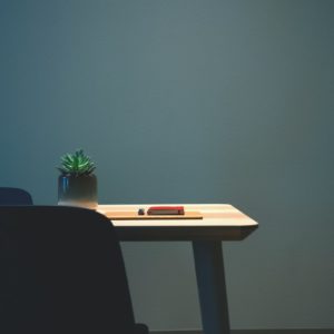succulent plant on desk
